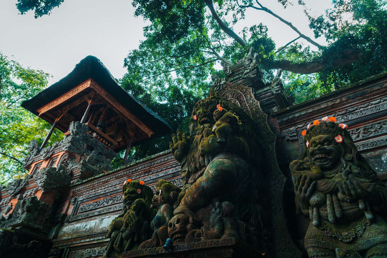 Start your journey with Indonesia’s vibrant glow